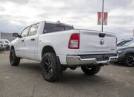 2019 RAM 1500 Tradesman LC2420