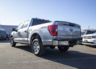 2023 Ford F-150 XLT S503905A