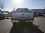 2023 Ford F-150 XLT S503905A