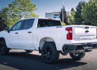 2023 Chevrolet Silverado 1500 Custom Trail Boss LC2583