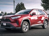 2025 Toyota RAV4 XLE S515118B