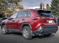 2025 Toyota RAV4 XLE S515118B