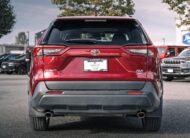 2025 Toyota RAV4 XLE S515118B