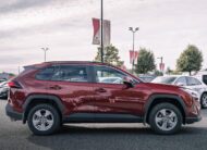 2025 Toyota RAV4 XLE S515118B