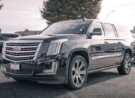 2017 Cadillac Escalade ESV Platinum LC2737A