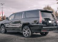 2017 Cadillac Escalade ESV Platinum LC2737A
