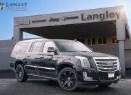 2017 Cadillac Escalade ESV Platinum LC2737A