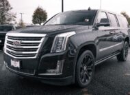 2017 Cadillac Escalade ESV Platinum LC2737A