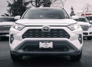 2025 Toyota RAV4 XLE LC2912