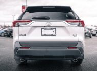 2025 Toyota RAV4 XLE LC2912