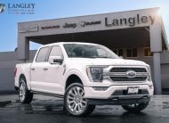 2021 Ford F-150 Limited LC2931