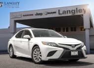2019 Toyota Camry  LC2941A