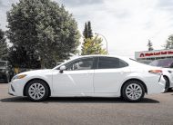 2019 Toyota Camry  LC2941A