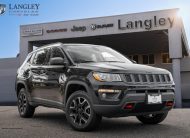 2019 Jeep Compass Trailhawk LC3016