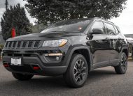 2019 Jeep Compass Trailhawk LC3016