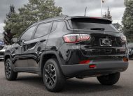 2019 Jeep Compass Trailhawk LC3016