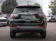 2019 Jeep Compass Trailhawk LC3016