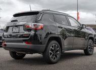 2019 Jeep Compass Trailhawk LC3016