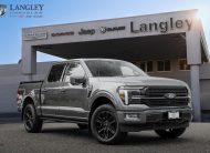 2025 Ford F-150 Platinum T376545A
