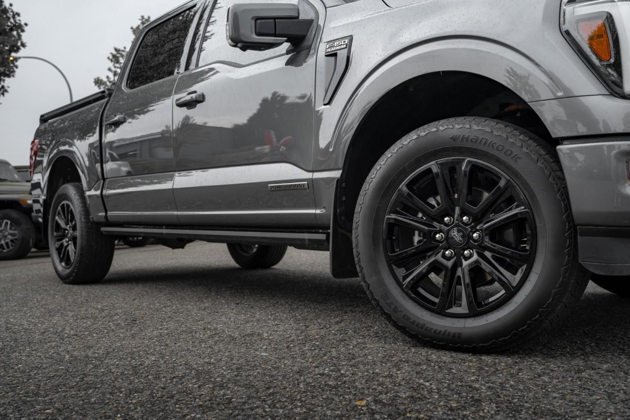 2025 Ford F-150 Platinum T376545A