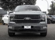 2025 Ford F-150 Platinum T376545A