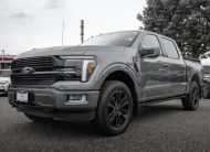 2025 Ford F-150 Platinum T376545A