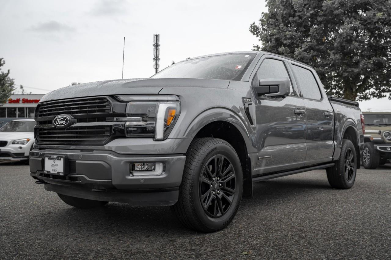 2025 Ford F-150 Platinum T376545A
