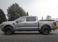 2025 Ford F-150 Platinum T376545A