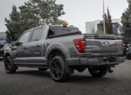 2025 Ford F-150 Platinum T376545A