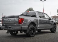 2025 Ford F-150 Platinum T376545A