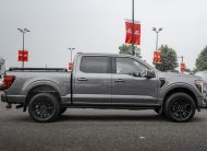 2025 Ford F-150 Platinum T376545A