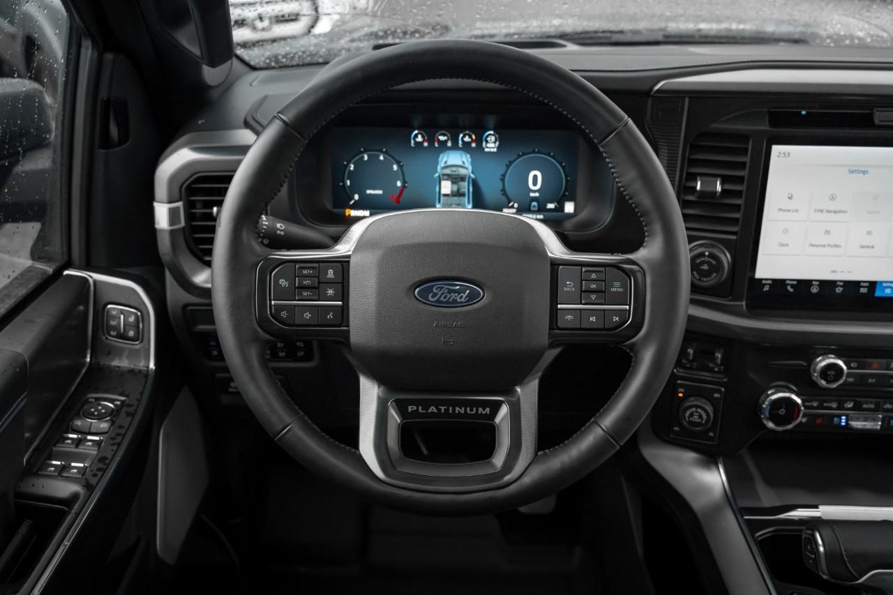 2025 Ford F-150 Platinum T376545A