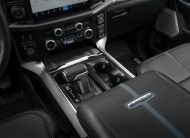 2025 Ford F-150 Platinum T376545A