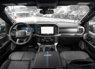 2025 Ford F-150 Platinum T376545A