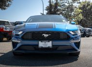 2018 Ford Mustang EcoBoost LC3040