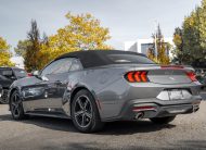 2025 Ford Mustang EcoBoost LC3120